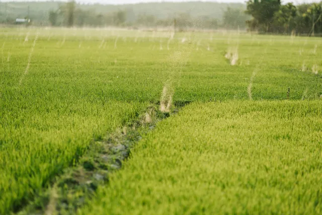 Irrigation System Upgrade Austin TX