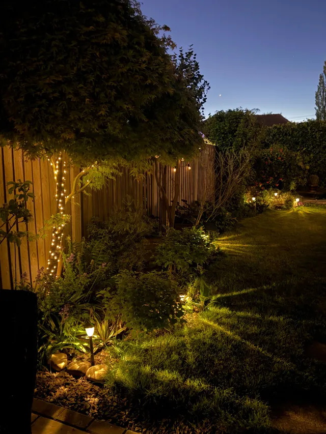 Landscape Light Installation Austin TX