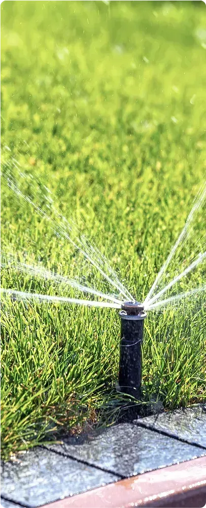 Sprinkler spraying water onto a green lawn.