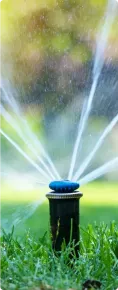 Sprinklers spraying water on a Texas lawn.