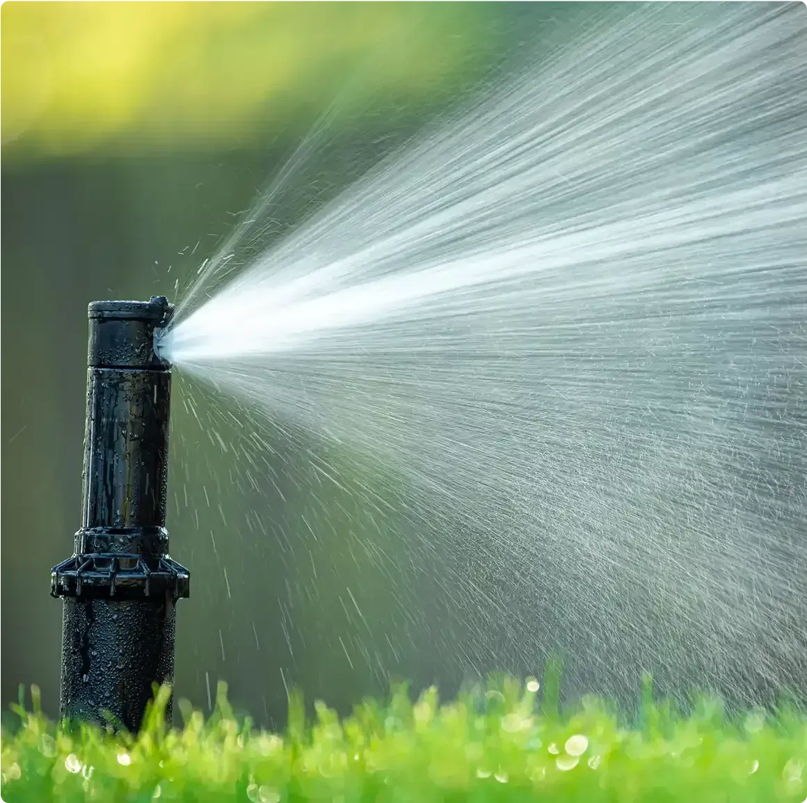 Sprinkler spraying water onto green grass.