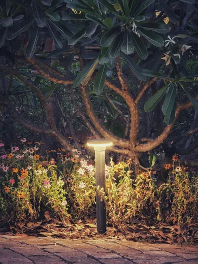 Landscape lighting design in Austin TX
