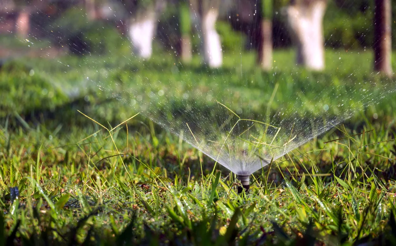 Affordable Irrigation Repair in Austin