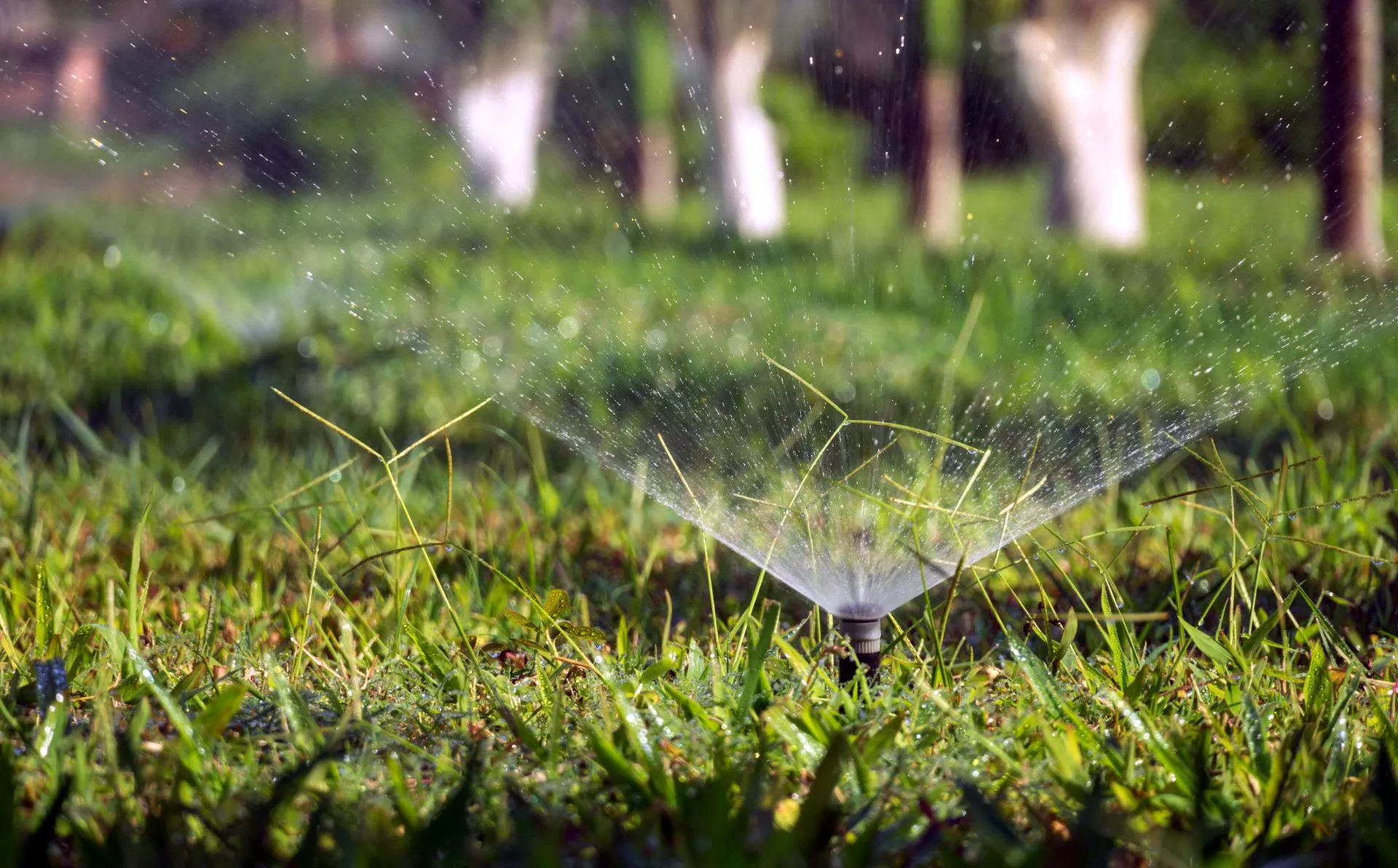 Affordable Irrigation Repair in Austin